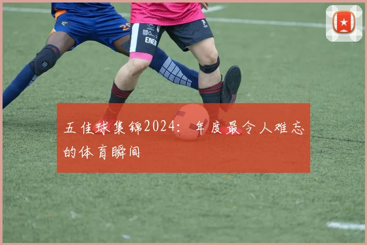 五佳球集锦2024：年度最令人难忘的体育瞬间